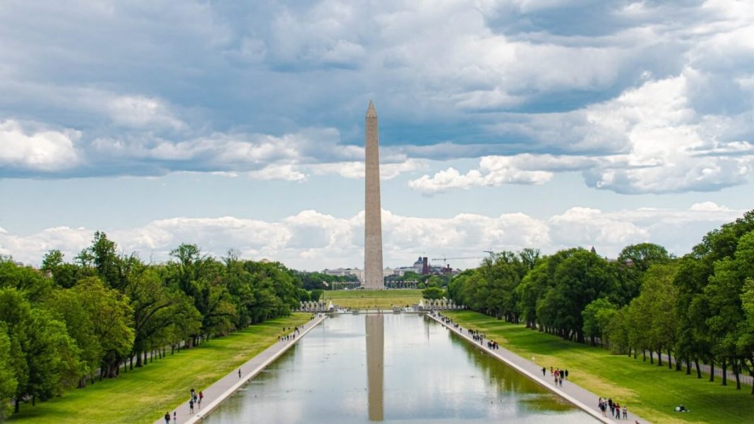 washington monument view surrounded by trees