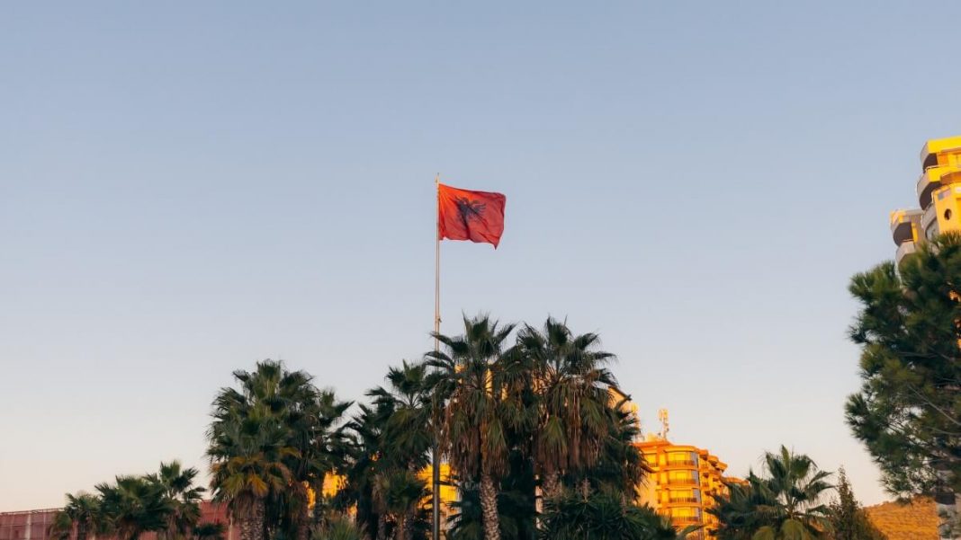 albania flag waving up on palms
