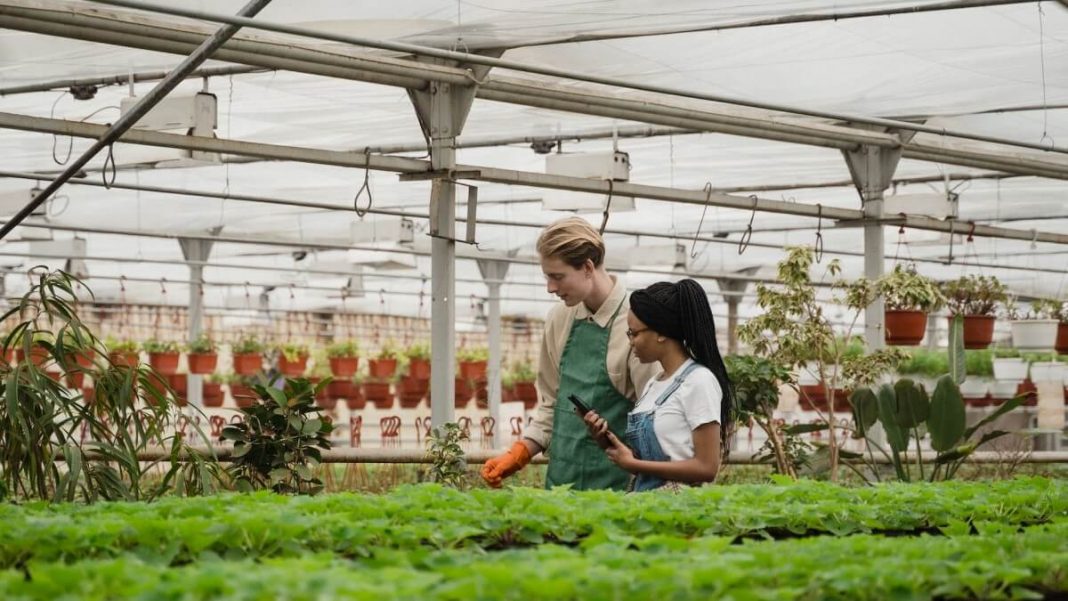 horticulture