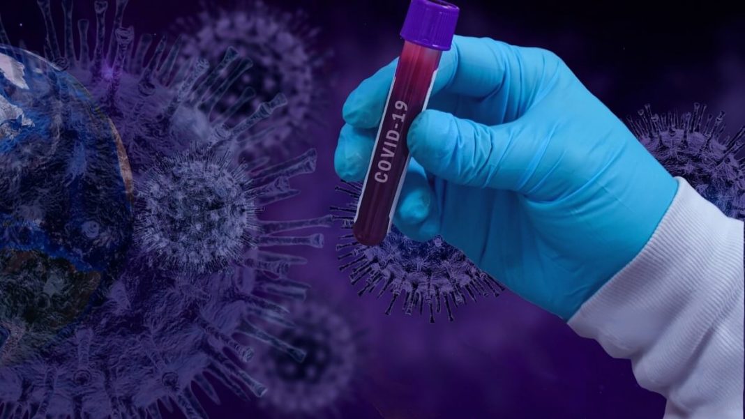 person holding covid-19 test virus illustration
