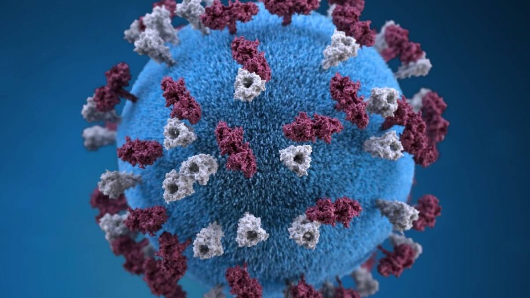 virus corona purple illustration