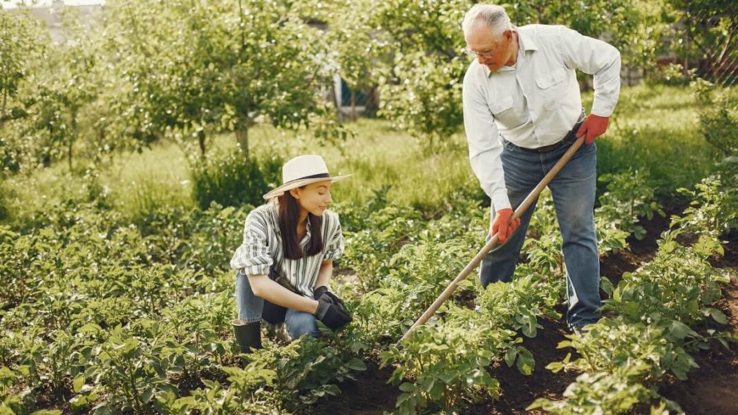 two people gardening and practicing horticulture