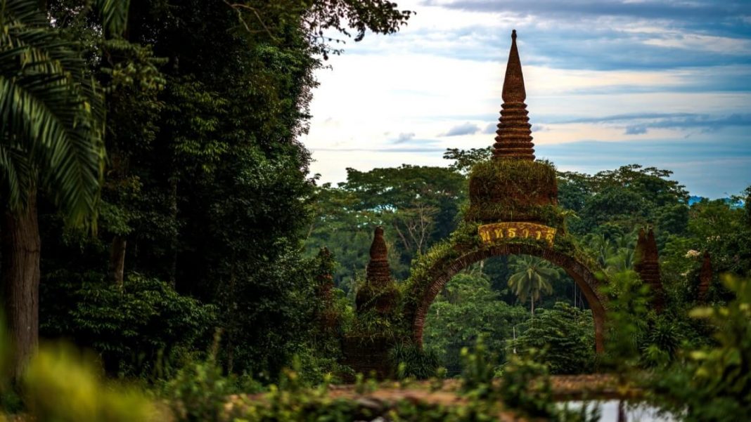 green dharma park view surat thani thailand