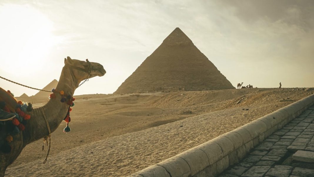pyramid cairo egypt camel view daytime
