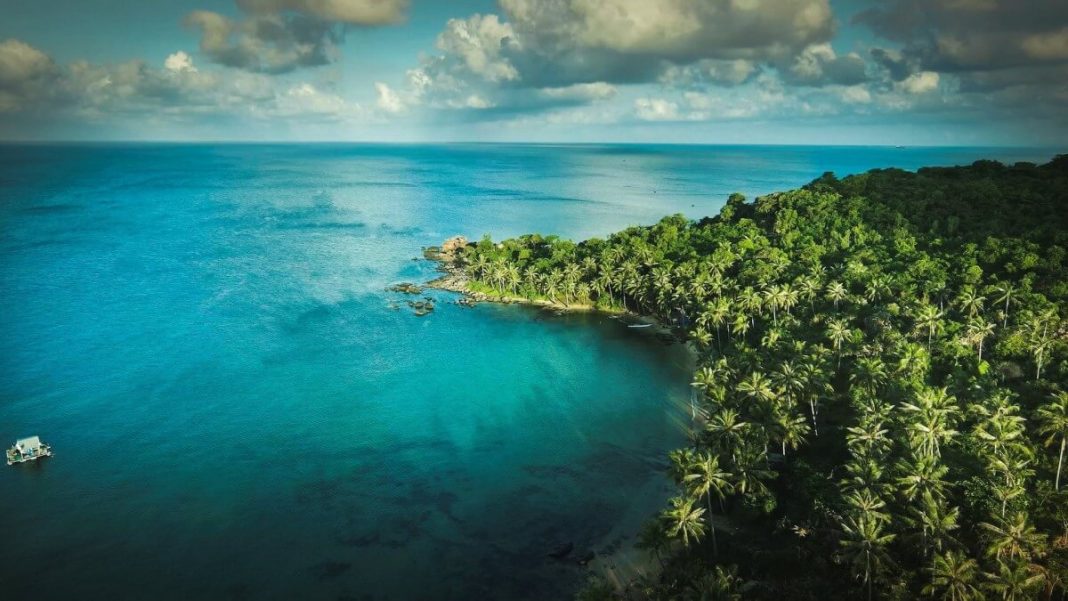beach island view seashore and palms