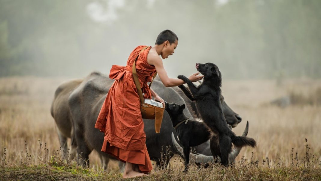 Myanmar