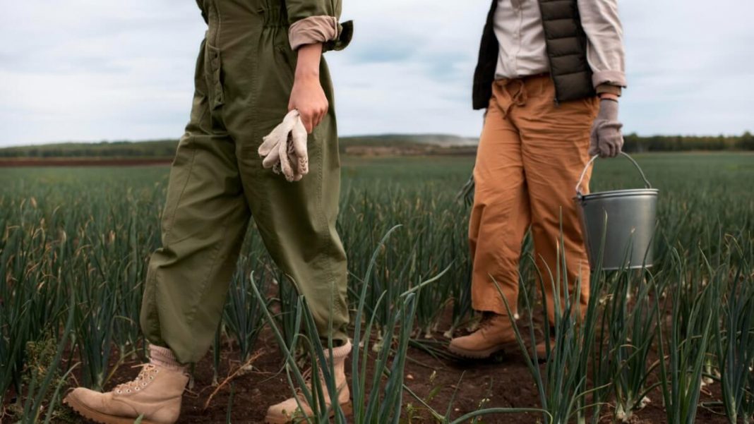Agriculture Workers